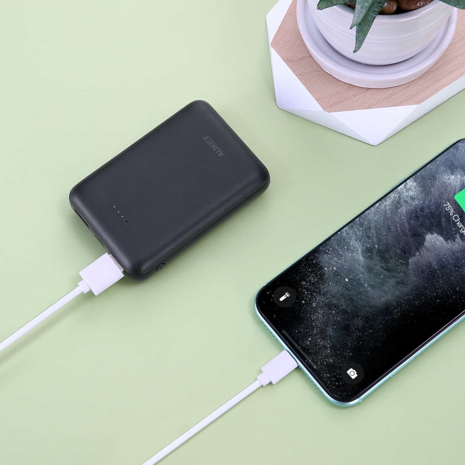 PB-N66 10000mAh Ultra Slim 5V Fast Charge Power Bank